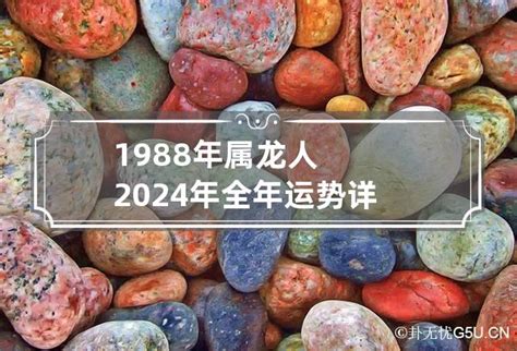 2024年属龙人运势